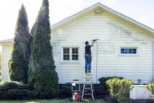 Best Solar Panel Cleaning  in Quitman, TX